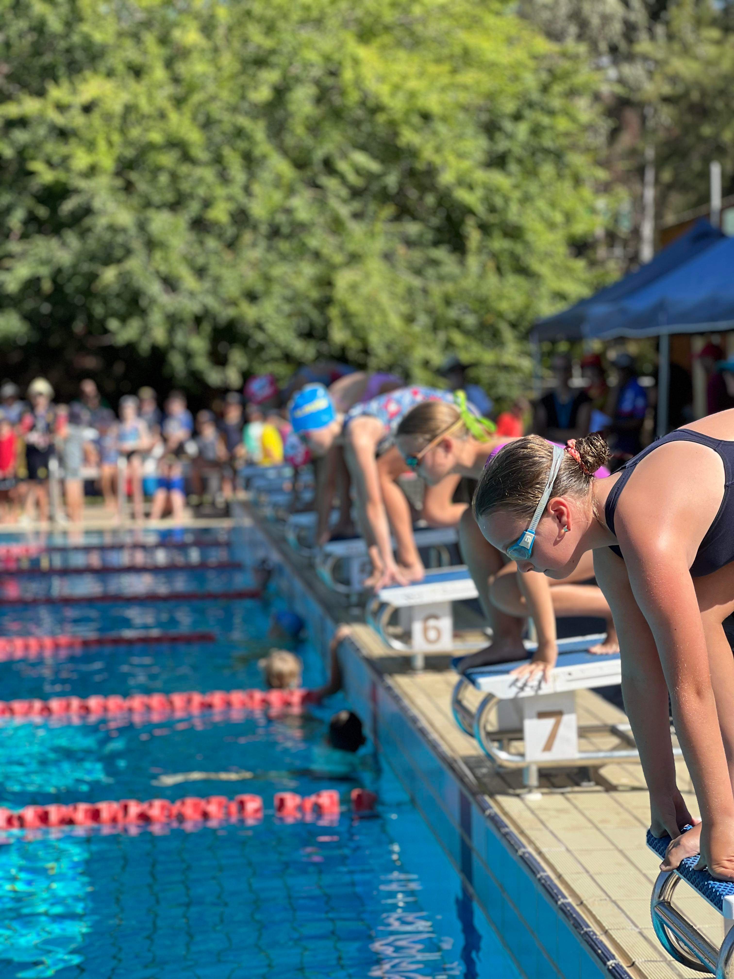 Students on blocks ready to start swimming race